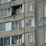 В России начали действовать новые правила оформления недвижимости